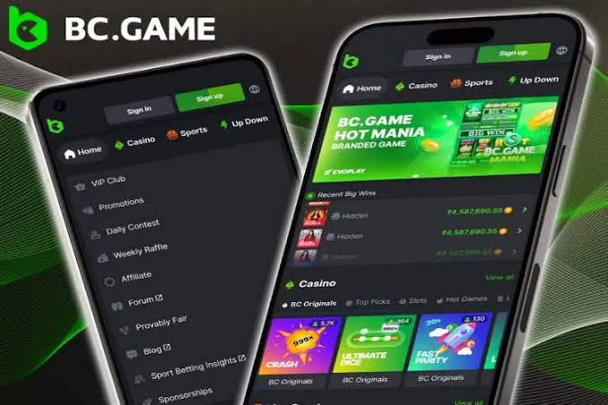 BC Fun Download App Your Gateway to Exciting Gaming Adventures